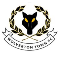 Wolveton Town Badge 1